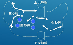 様々な個所から信号が発生し、迷路のように信号伝達がなされる