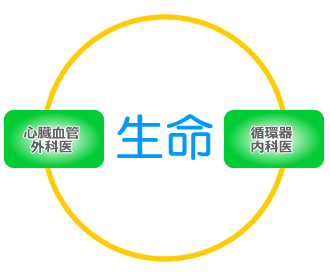 チーム医療とは