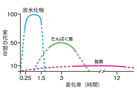 栄養素の血糖値への影響