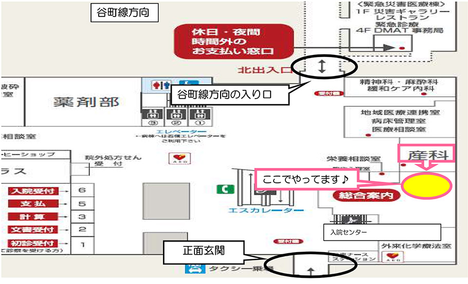 産科外来