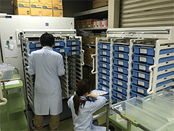 調剤作業の写真