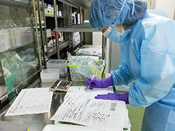 抗がん剤の調製用量チェック