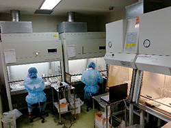 抗がん剤調製の写真2