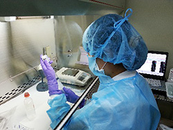 抗がん剤調製の写真3
